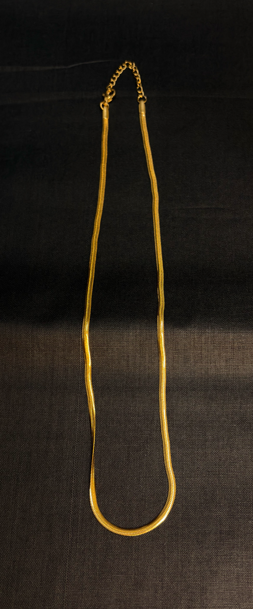 Gold-tone snake chain necklace
